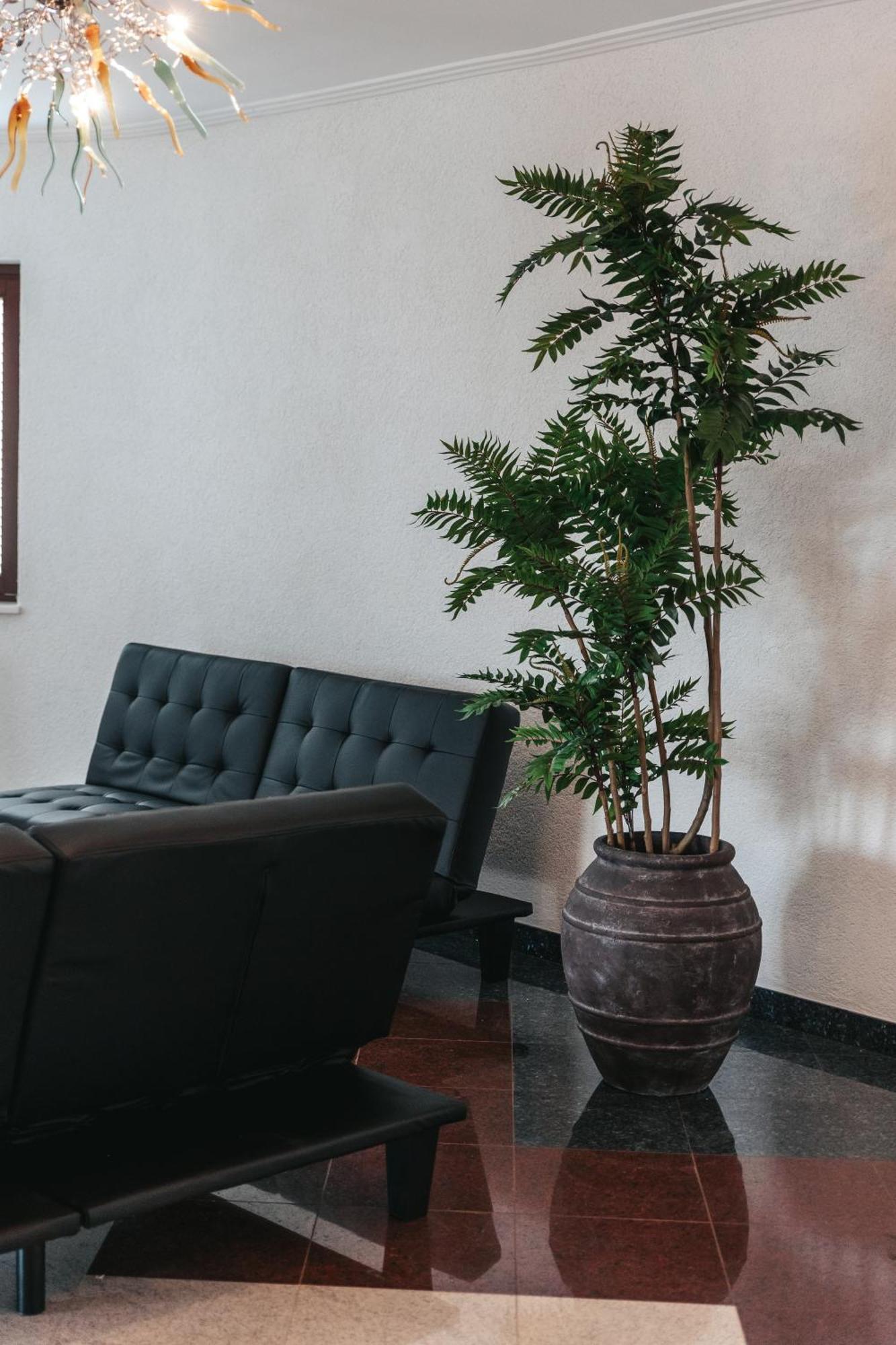 Villa Calista Ičići Dış mekan fotoğraf